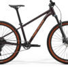 Big Seven 40 - Metallic Black (Red) - MY26