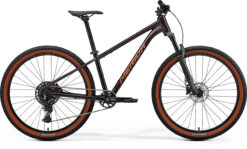Big Seven 40 - Metallic Black (Red) - MY26