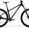 Big Trail 300 - Black (Brown) - MY26