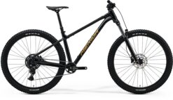 Big Trail 300 - Black (Brown) - MY26