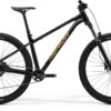 Big Trail 300 - Black/Brown - MY25