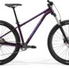 Big Trail 400 - Purple - MY23