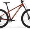 Big Trail 500 - Mokka (Brown) - MY26