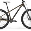 Big Trail 500 - Gold - MY23