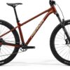 Big Trail 500 - Mokka/Brown - MY25
