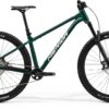 Big Trail 600 - Forest Green - MY25
