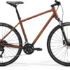 Crossway 100 - Bronze - MY24