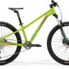 Matts J.Champion - Green - MY23