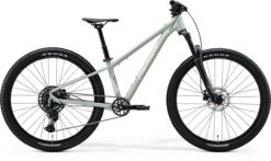 Matts J.Champion - Silk Early Moss Grey (White) - MY26