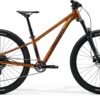 Matts J.Champion - Wild Honey (Black) - MY26