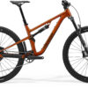 One-Forty 400 - Wild Honey (Golden Black) - MY26
