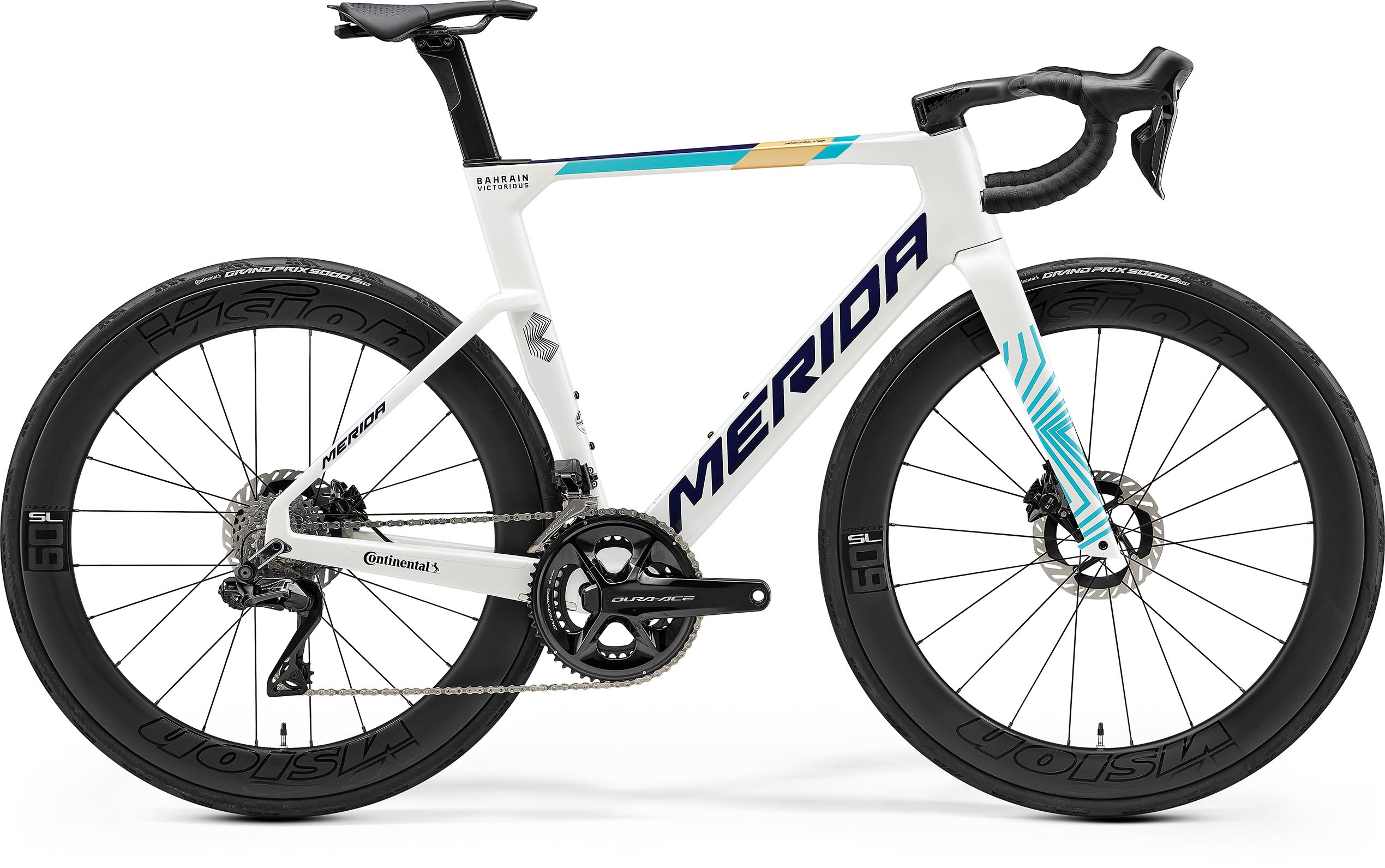 Reacto Team - Team (Pearl/Blue) - MY25