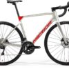 Scultura 4000 - Titanium - MY23