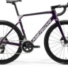 Scultura 7000 - Purple - MY23