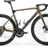 Scultura 9000 - Gold - MY24