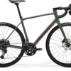 Scultura Endurance 300 - Silk Cool Grey (Red) - MY26