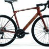 Scultura Endurance 4000 - Bronze - MY23