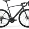 Scultura Endurance 4000 - Silver/Black - MY24