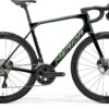 Scultura Endurance 9000 - Green - MY23