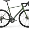 Scultura Endurance 300 - Silk Green/Green-Silver - MY25