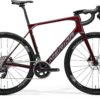 Scultura Endurance Rival Edition - Red/Grey - MY25