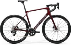 Scultura Endurance Rival Edition - Red/Grey - MY25