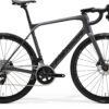 Scultura Endurance Rival-Edition - Dark Silver - MY23