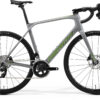 Scultura Endurance Rival Edition - Grey/Green - MY24