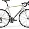 Scultura Rim 100 - Titanium/Green - MY23