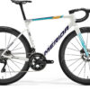 Scultura Team - Teal/Pearl (Team) - MY26
