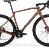 Silex 4000 - Bronze/Gold/Black - MY24