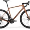 Silex 4000 - Matt Bronze/Gold/Black - MY25