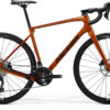 Silex 4000 - Wild Honey (Black) - MY26