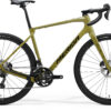 Silex 8000 - Green/Gold/Black - MY25