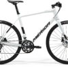 Speeder 300 - Pearl White/Gold - MY25