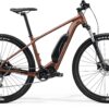 eBig Nine 300SE - Silk Bronze / Black - MY23