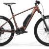 eBig Seven 300SE - Silk Bronze / Black - MY23
