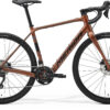 eSilex 400 - Bronze/Black - MY24
